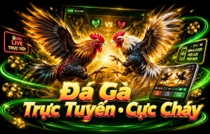 Giao diện Đá Gà techwhizstudio